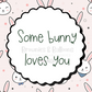 Some bunny loves you